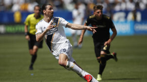 แทงบอลโบนัสฟรี